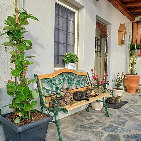 To Giataki Tou Pappou Apartment Tsagarada Exterior foto