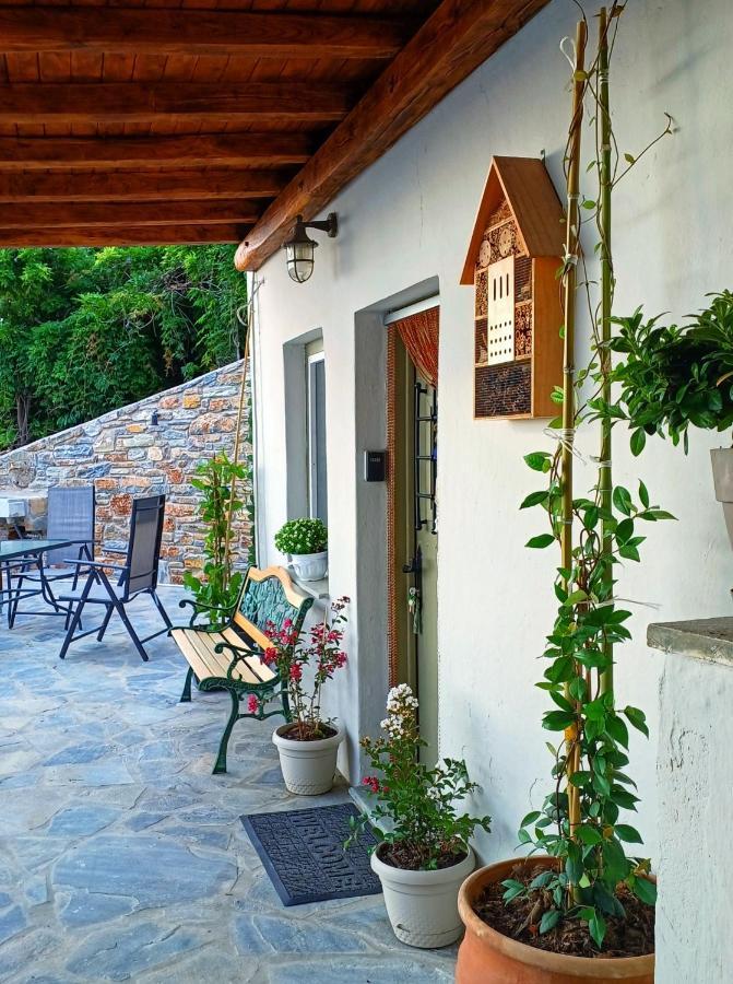 Apartment To Giataki Tou Pappou Tsagkarada